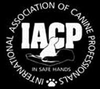 IACP
