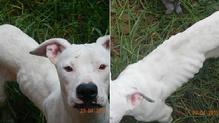 Two months ago I needed help now I just got adopted!!!